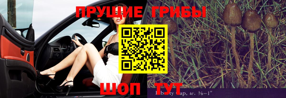 что такое   Вход с VPN  Тольятти  Псилоцибиновые грибы MAGIC MUSHROOMS 